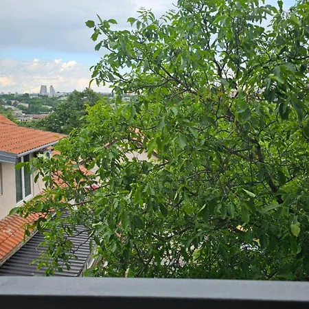 Magnolija Stan Na Dan *